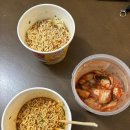 우리별 별빛 민박 | 🇦🇺호주 Day13| [호주 시드니여행] 블루마운틴투어, 링컨스락