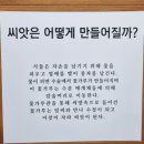 엘림작은도서관 | 수원 이색 데이트코스 : 일월수목원 후기(카페, 이용료, 주차, 애견동반, 관람코스)