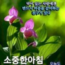 ◎ 우울증에 효과적인 10가지 방법. ◎ 이미지