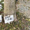 마한애견 | [공지] [광주근교 애견동반 글램핑] 강진글램핑장 " 림스글램핑 " 완전 대만족