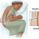 천자로-3 이미지