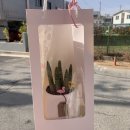 11월 일상 먹자먹자🐷(레드버튼, 애상마라탕, 장백산, 투다리, 나정상회, 역전할맥, 하얀집)
