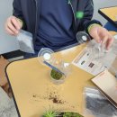 친환경 그린 가드닝 | X GREENEO (그리네오)] 구일중학교 친환경 가드닝 수업 후기 🌿 아이들 집중력 폭발! 이끼 테라리움...