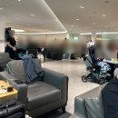 5월애쌈밥 | 대한항공 시드니 비즈니스 KE401: 보잉 777-300ER 좌석, 라운지, 기내식