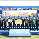 서울월드컵경기장보조경기장 Daum카페