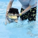 뚝섬한강공원-24 이미지