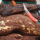 자양농장 이미지