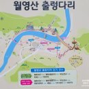 충북 여행. 금산 월영산출렁다리, 강선대, 영동 포도축제