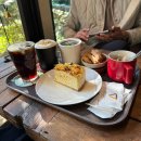 영광군청 | 영광군 남도땅 카페 / 영광군청 카페 / 동락식당 식후 디저트 추천!