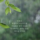 초록세상 이미지