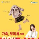 멋쟁이 세탁 이미지