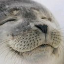 더 대박PC 이미지