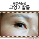 고양이발톱네일&속눈썹 이미지