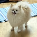 쟈기포차