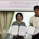 조은안과