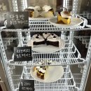 1월 3주차 : 부산대 구구향산씨도삭면, 사흘 만에 면접 준비