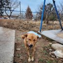 웅도동편민박 이미지