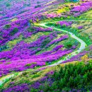 산유화