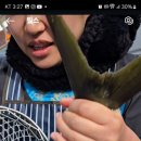 활어바다친구 이미지