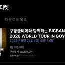 풀란 | 2026 고양 빅뱅 콘서트 티켓팅 막콘 성공 후기