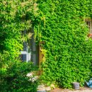 프로방스민박 이미지