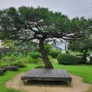 농가맛집 채림의정원 이미지