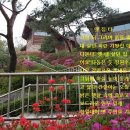 소화데레사의집 이미지