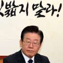 이재명 지키기, 이재명 지키기…민주당은 그게 전부인가 이미지