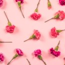 꽃집아재비 이미지