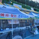 건강 지킴이 수지침 이미지