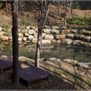 수정4동체육공원 이미지