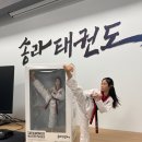 용인대 스마트 태권도장 이미지