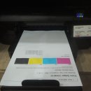 경희대 호돌이 태권도장 이미지