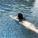 종로-연건-종로-연-268 | [일상/부산🐰] 부산 아난티코브 : 워터하우스 온수풀 | 라메르조식 | 런던베이글 안국역 주말 오픈런 후기