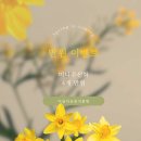 행복미니 이미지