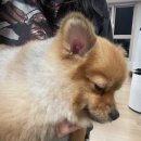 살랑살랑 이미지