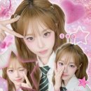 핑크슈슈 이미지