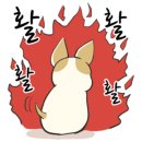커피크라운 이미지