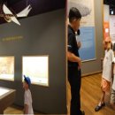 어린이연극 ''우리들의 영웅'' | 광복 80주년 무장애연극 ‘떳다, 보아라 안창남’ 관람 후기: 하늘로 난 독립의 꿈과 항공 영웅의 재조명