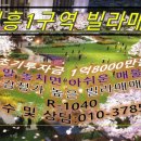 대흥1공인중개사사무소 이미지