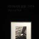 고은사진미술관 | [해운대 전시 추천] 고은사진미술관 랄프 깁슨전 후기｜무료 짐 보관 꿀팁 &amp; 라이카 로망