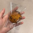 강아지오요요 | 여백이 있어야 다음 문장을 적을 수 있으니까 26年 03月