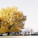 여산초등학교 이미지