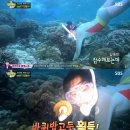 다나퀸