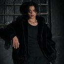 카운터 복싱 이미지