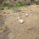 소기왓민박 이미지