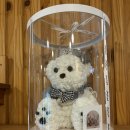 CU 배곧로얄8차점 | [배곧꽃집] 24시간 유/무인 운영 꽃처럼에서 예쁜 꽃다발 예약했어요