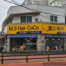 엠스헤어코코 이미지