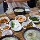 진해 경화역 맛집 승리돼지국밥