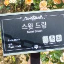 곡성-172 이미지